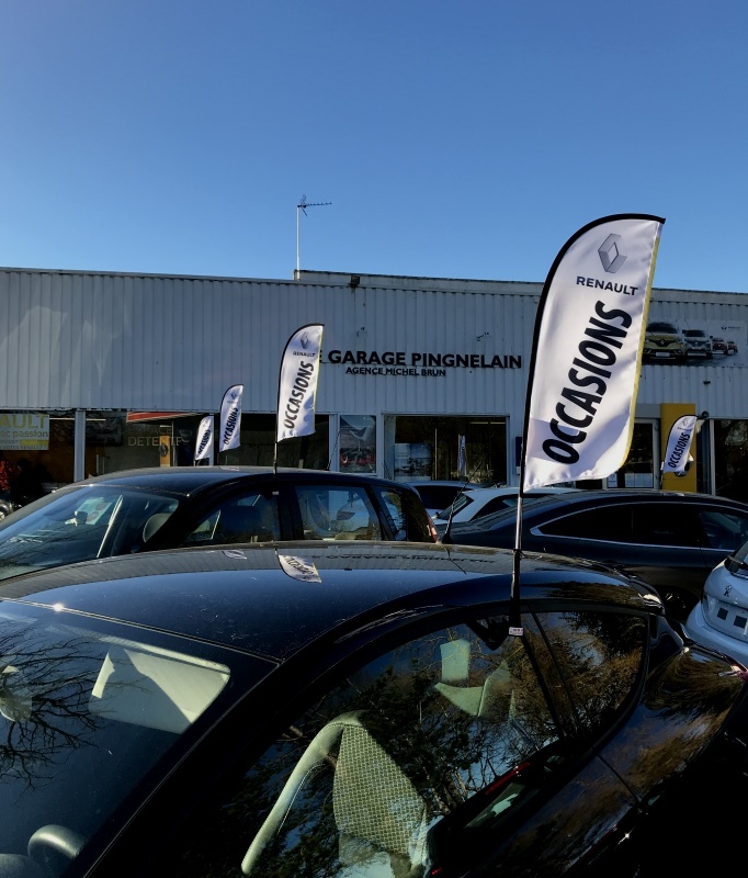 Drapeaux occasions Renault