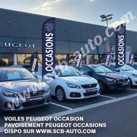  Drapeaux Peugeot Beach Pavillons Flags Vo Plumes Vo Plv Auto Peugeot 2024