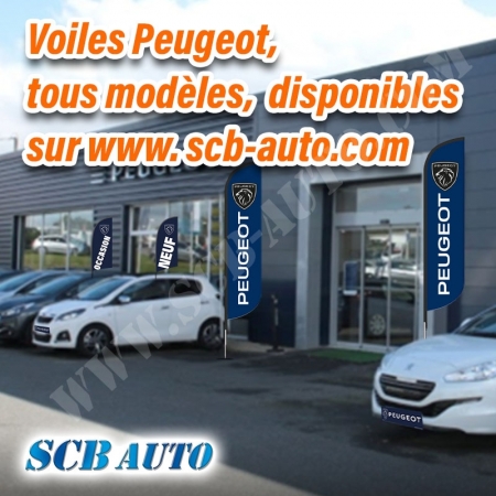  Drapeaux Peugeot Beach Pavillons Flags Vo Plumes Vo Plv Auto Peugeot 2024