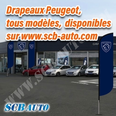  Drapeaux Peugeot Beach Pavillons Flags Vo Plumes Vo Plv Auto Peugeot 2024