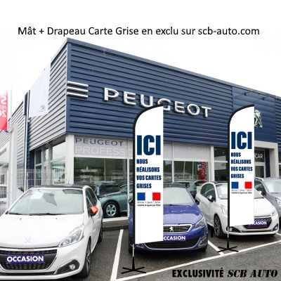  Drapeaux Carte Grise Beach Xxl Mât + Drapeau Carte Grise Plv Auto Pub Auto