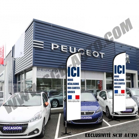  Drapeaux Carte Grise Beach Xxl Mât + Drapeau Carte Grise Plv Auto Pub Auto