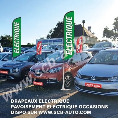  Drapeaux électrique Beach Xxl  Mât + Voile Electrique pour Vo Vn Plv Auto 