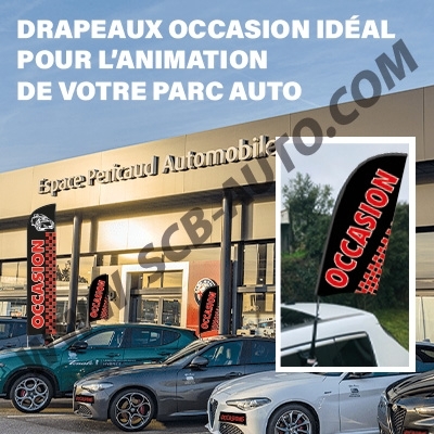  Plv Auto à - 40% Drapeaux Occasion Signalétique Auto Animation parc Auto