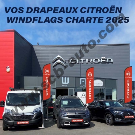  Drapeaux Citroën Beach Pavillons Flags Vo Plumes Vo Plv Auto Citroën 2025