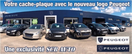 ☞ Plv Auto Peugeot Cache Plaque Minéralogique Peugeot Couvre Plaque Peugeot 