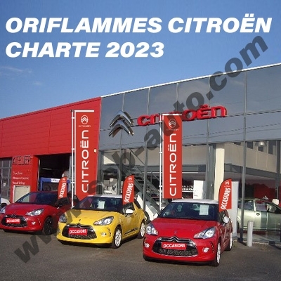  Drapeaux Citroën Chevrons Pavillons Citroën Oriflammes Citroën Plv Auto Charte