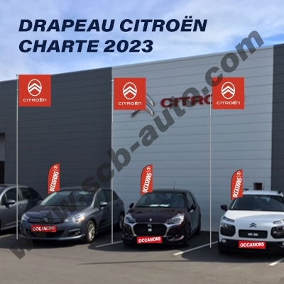  Drapeaux Citroën 2023 Pavillons Carré Oriflammes et Drapeaux le Pavoisement