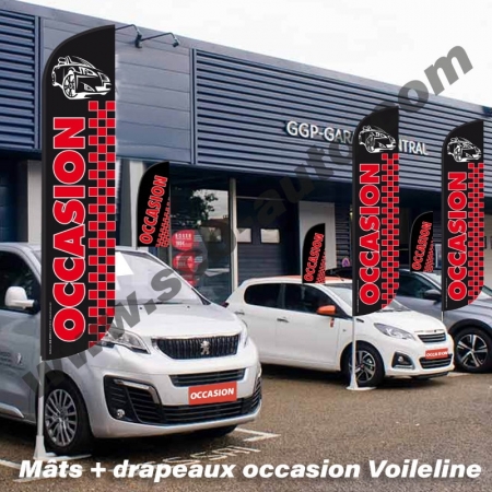 ☞ - 32% sur Plv Auto: Pack Mât + Drapeau occasion Pavillons Vo Drapeaux occasion / flag Vo 