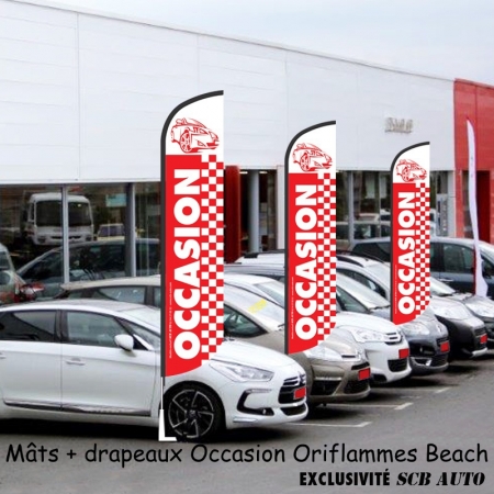  Plv Auto à -50% Pack de 3 Mats + 3 Drapeaux occasion Beach Drapeau Plume