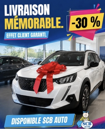  - 30% Noeud de Livraison Rouge Des Vn et Vo Voiture Noeuds Voitures 