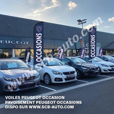 Drapeaux Peugeot Beach Plume Lion 2026