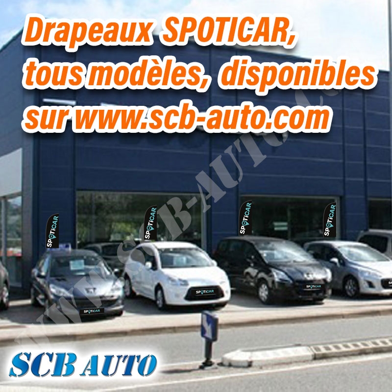 Drapeaux Spoticar sur Vitre Voile Spoticar nouvelle Charte — photo 2