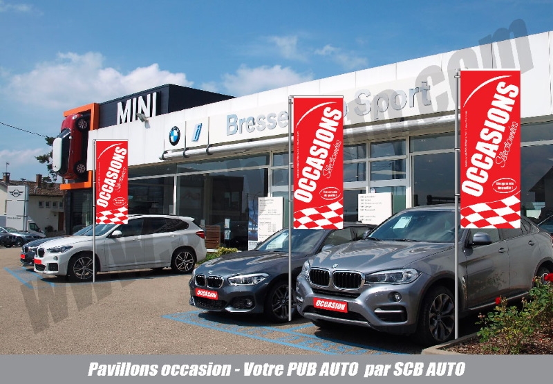 - 50% sur le Pack de 3 Drapeaux Occasion spécial VO Qualité***** — photo 2