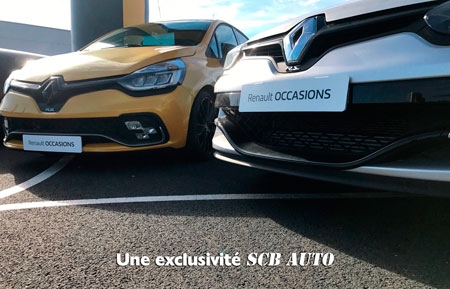 Cache plaque minéralogique RENAULT
