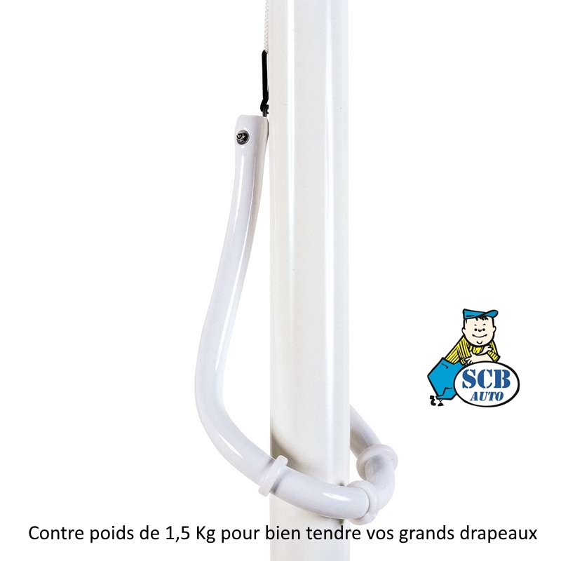 Drapeaux renault pour mâts grande hauteur — photo 3