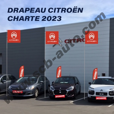 Drapeau CITROEN chevrons carré