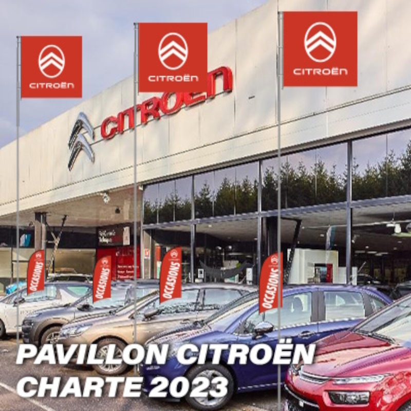 Drapeau CITROEN chevrons carré — photo 2