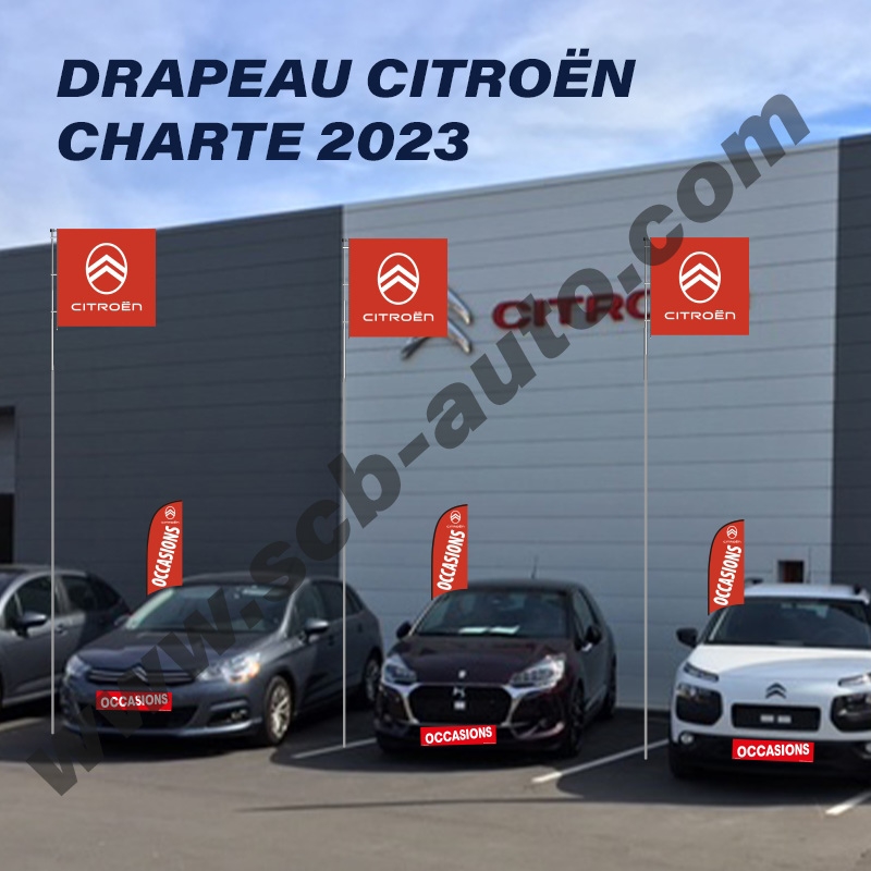 Drapeau CITROEN chevrons carré — photo 3
