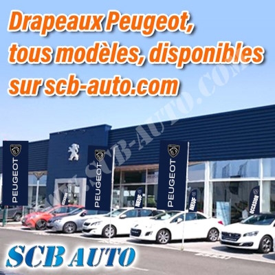 Drapeau PEUGEOT Blue Band