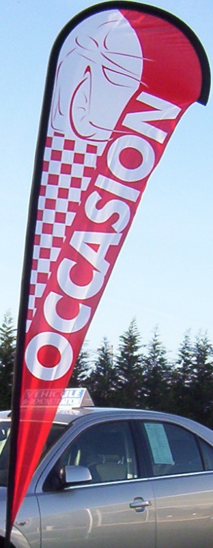 Drapeau Occasion Fun Line — photo 2