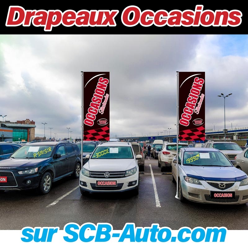 Pack de 3 mâts de 4 m + 3 drapeaux occasion TITANIUM***** — photo 8