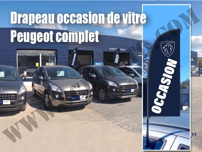 Drapeau de vitre Peugeot drapeau occasion Peugeot nouvelle charte