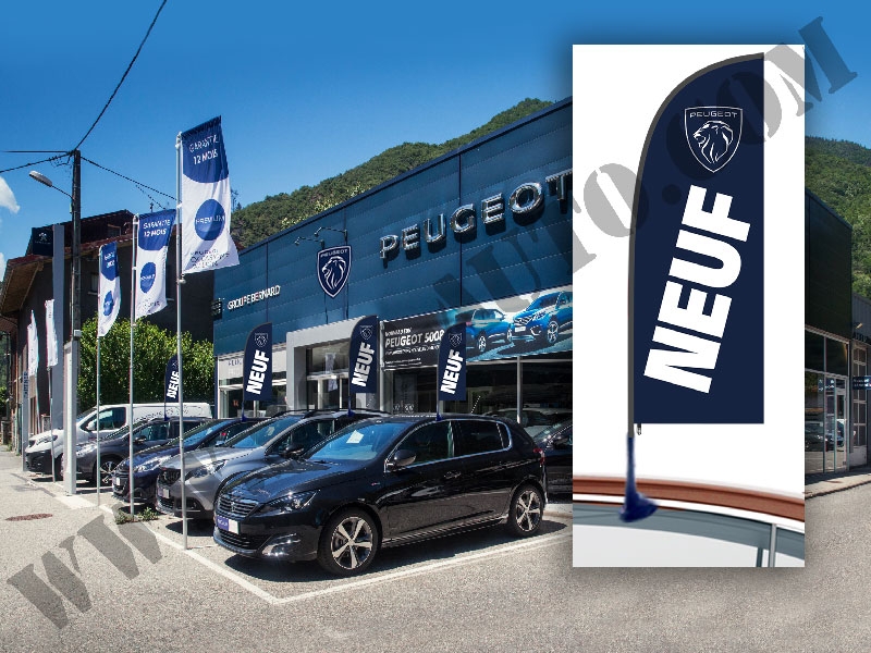 Drapeau de vitre Peugeot drapeau occasion Peugeot nouvelle charte — photo 2