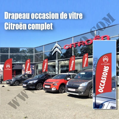 Drapeau de vitre Citroën drapeau citroën nouvelle charte