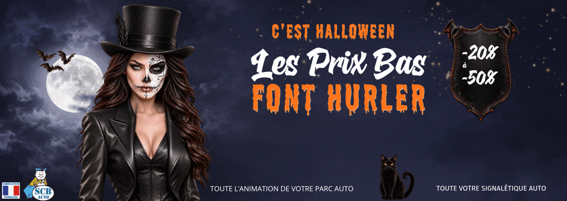 animation parc auto plv auto par scb auto