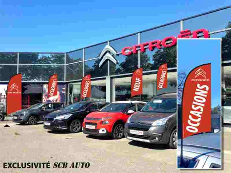 Drapeau de vitre Citroën des Fanions de toit pas cher