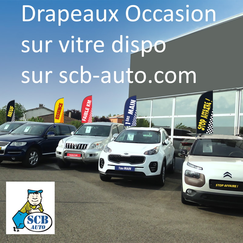 Drapeaux occasion sur vitre par scb auto