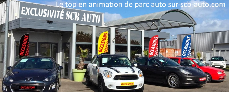 Animation de parc Auto les drapeaux Occasion sur vitre